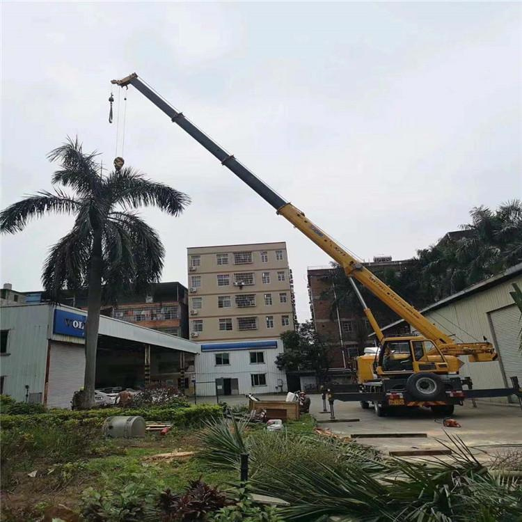 枣庄薛城汽车吊出租多少钱？全面解析与市场行情